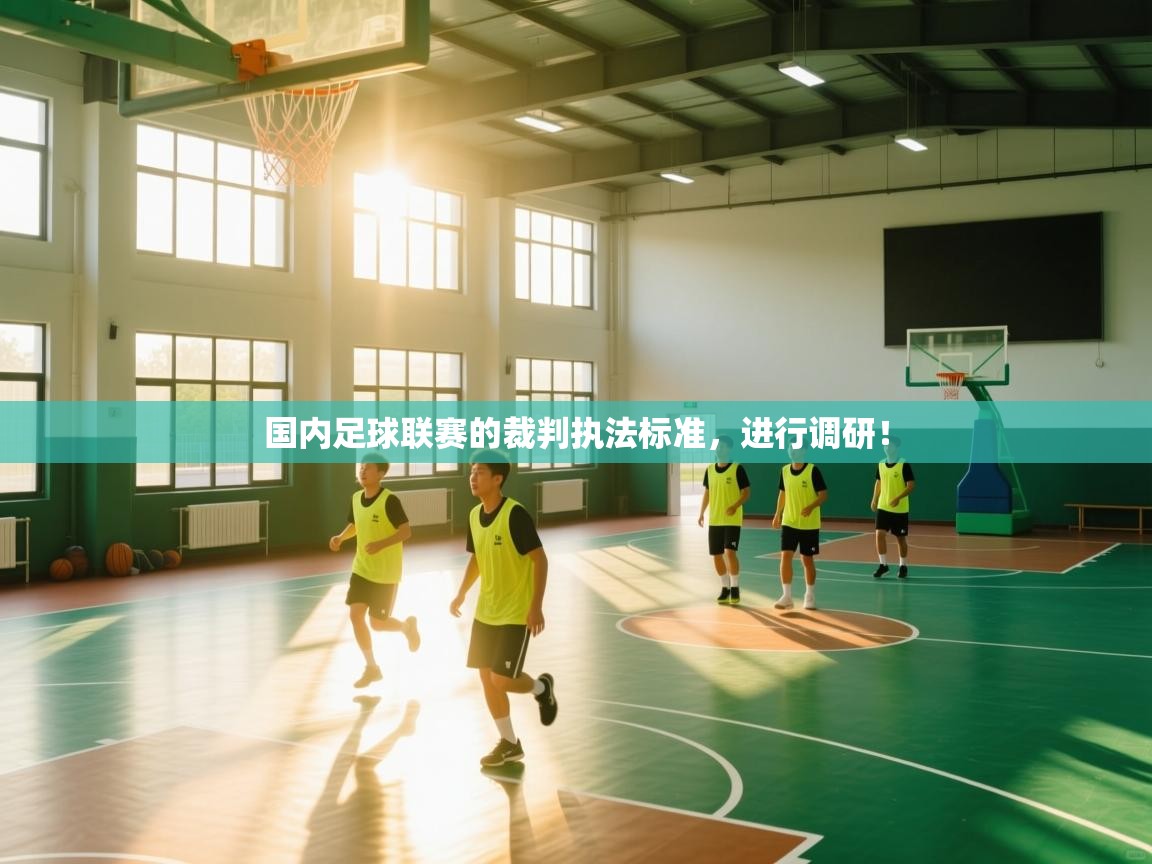 开云体育无法登录解决方案-国内足球联赛的裁判执法标准，进行调研！  第3张