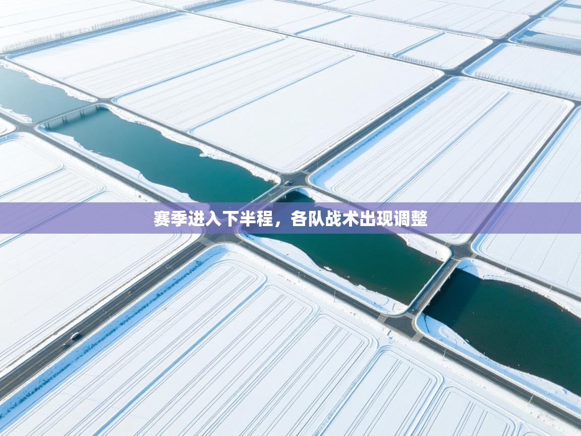 开云体育app下载入口-赛季进入下半程，各队战术出现调整  第1张