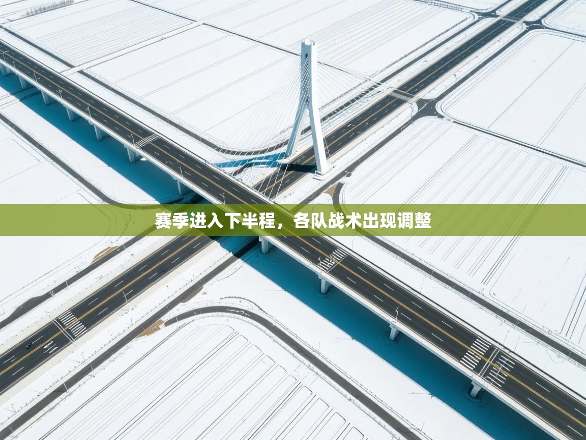 开云体育app下载入口-赛季进入下半程，各队战术出现调整  第2张